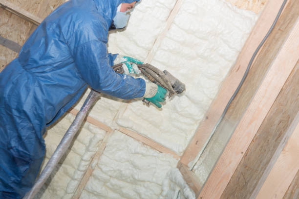 Best Eco-Friendly or Green Insulation Solutions  in Ludlow, KY